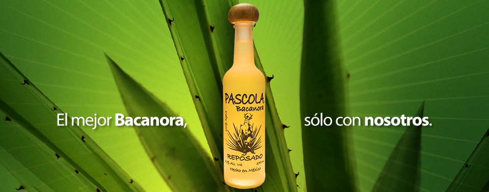 Bacanora Pascola